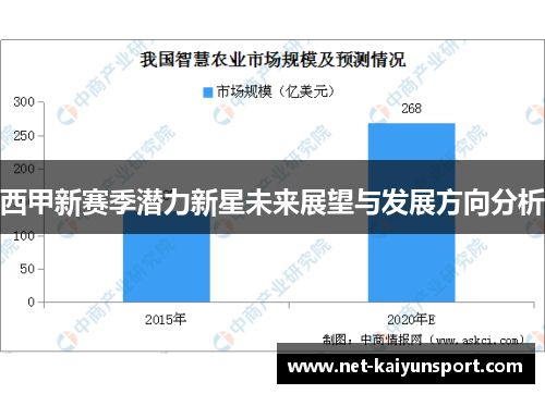 西甲新赛季潜力新星未来展望与发展方向分析